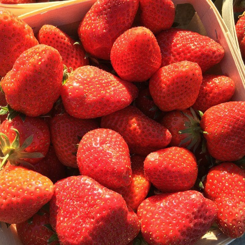 La fraise — ingrédient travaillé à l’atelier de la Pâtisserie Guillaume Rouget